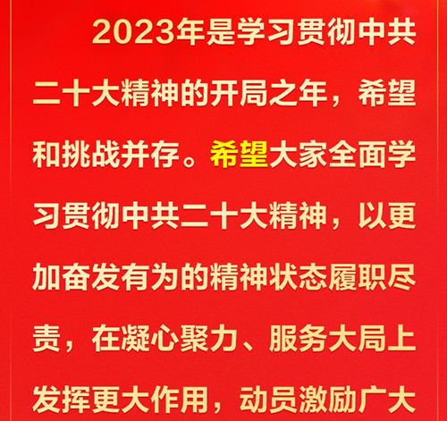 同黨外人士座談并共迎新春 習近平提出這些希望