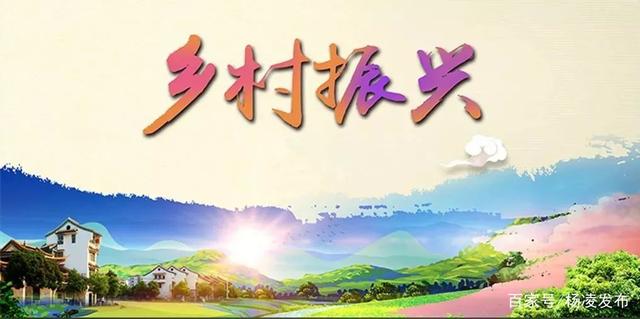 為鄉(xiāng)村振興護航 中央財政下達125億元保費補貼