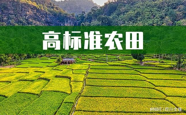 要數(shù)量也要質量！高標準農(nóng)田山東這樣建設