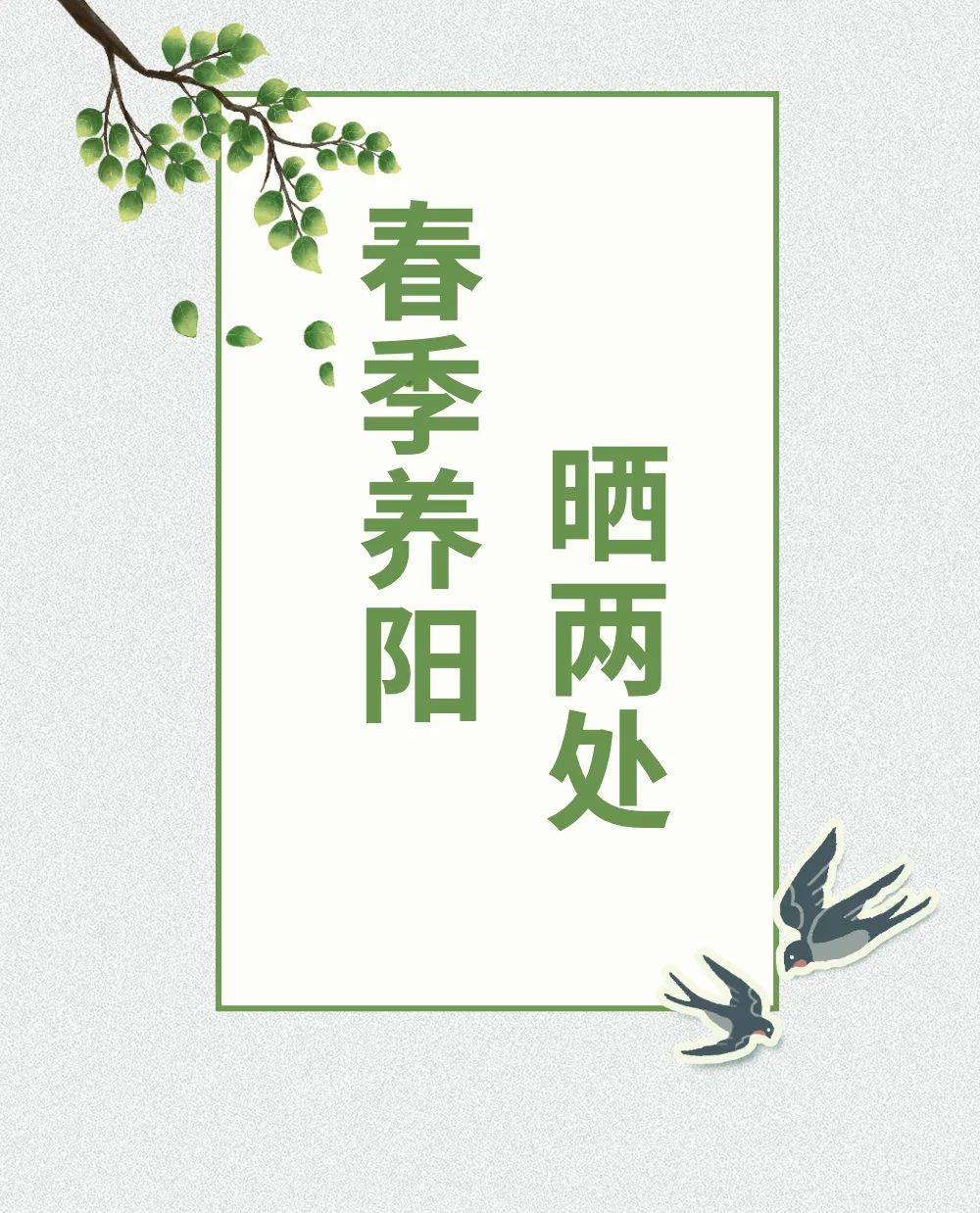 健康知識普及行動｜春季陽氣生發(fā)！做到這些，身體健康陽氣足