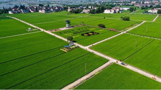 建好良田大國糧倉根基穩(wěn) 超一半耕地建成高標(biāo)準(zhǔn)農(nóng)田