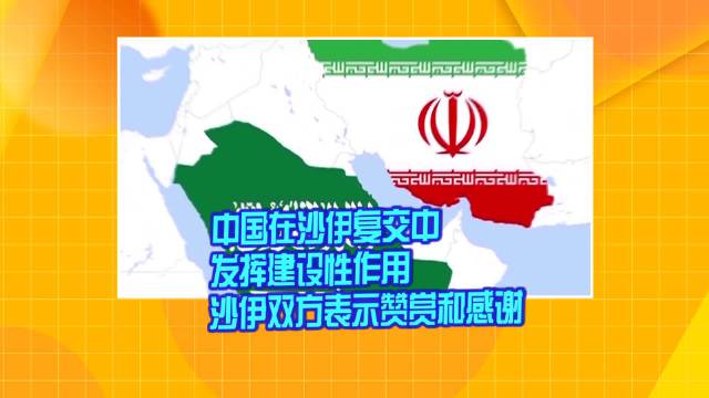 綜述：國(guó)際社會(huì)歡迎沙伊復(fù)交 贊賞中方發(fā)揮積極作用