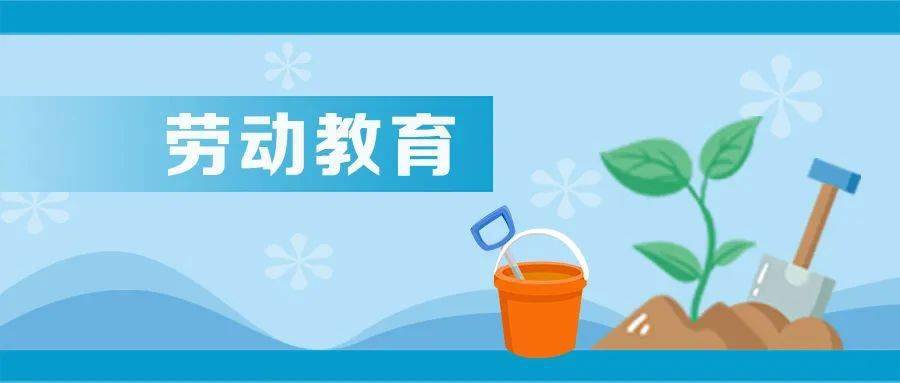 勞動(dòng)教育如何在家庭中“落地生根”？