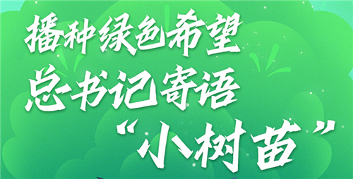 學習進行時｜播種綠色希望 總書記寄語“小樹苗”