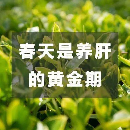 護(hù)肝之計(jì)在于春，春季哪些食物有益于護(hù)肝？