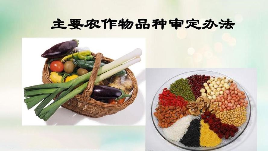 我國四大作物試行實質(zhì)性派生品種制度