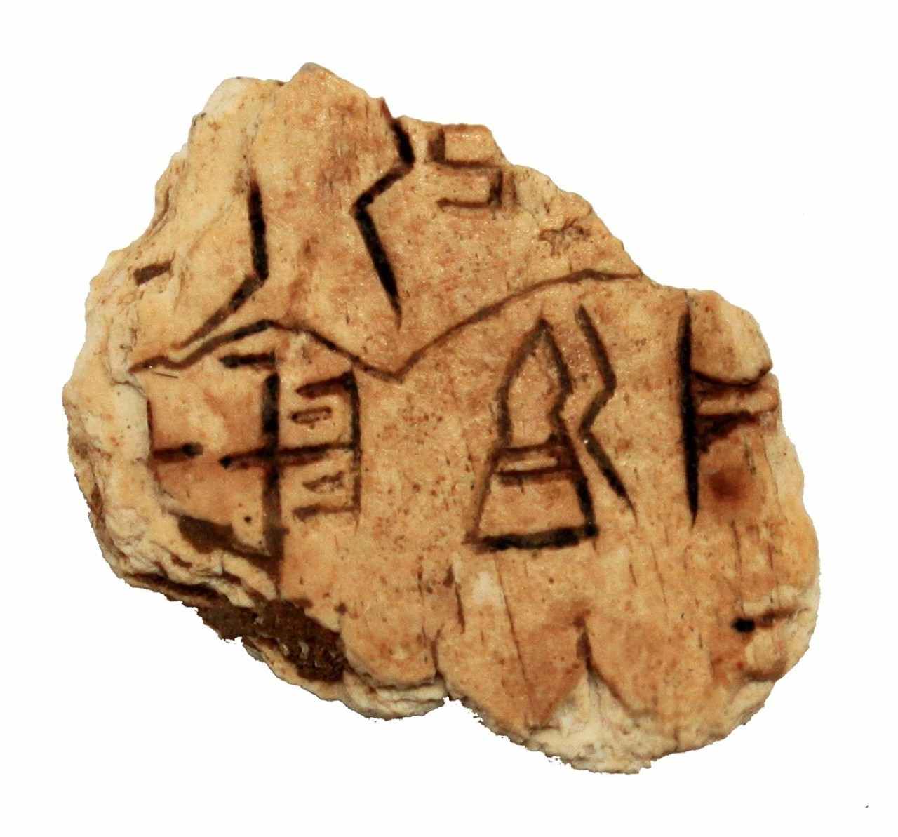 青年學(xué)者深耕冷門“絕學(xué)” 用甲骨碎片拼出三千年前文明圖景
