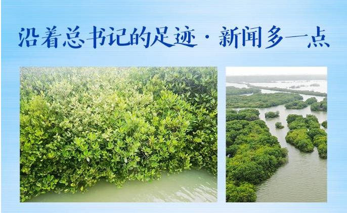 沿著總書(shū)記的足跡·新聞多一點(diǎn)丨總書(shū)記關(guān)心的這些“海岸衛(wèi)士”