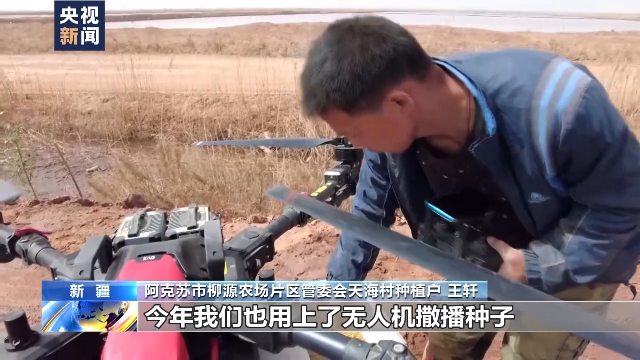 新疆阿克蘇推廣無(wú)人機(jī)飛播技術(shù) 助力水稻種植