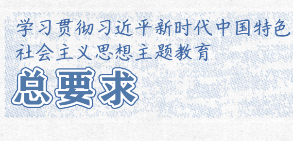 學(xué)習(xí)卡丨這項(xiàng)重要主題教育如何開(kāi)展？