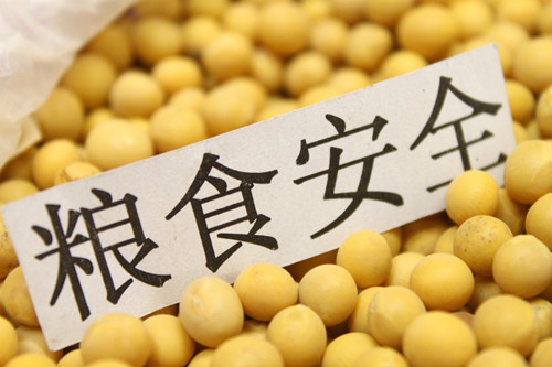 提升糧食生產(chǎn)能力 全方位夯實糧食安全根基