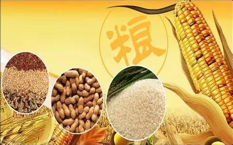 口糧自給率超過100%，人均糧食占有量約480公斤 做到谷物基本自給、口糧絕對安全