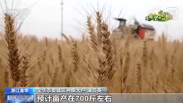 全國夏收拉開序幕 夏收主要收什么？