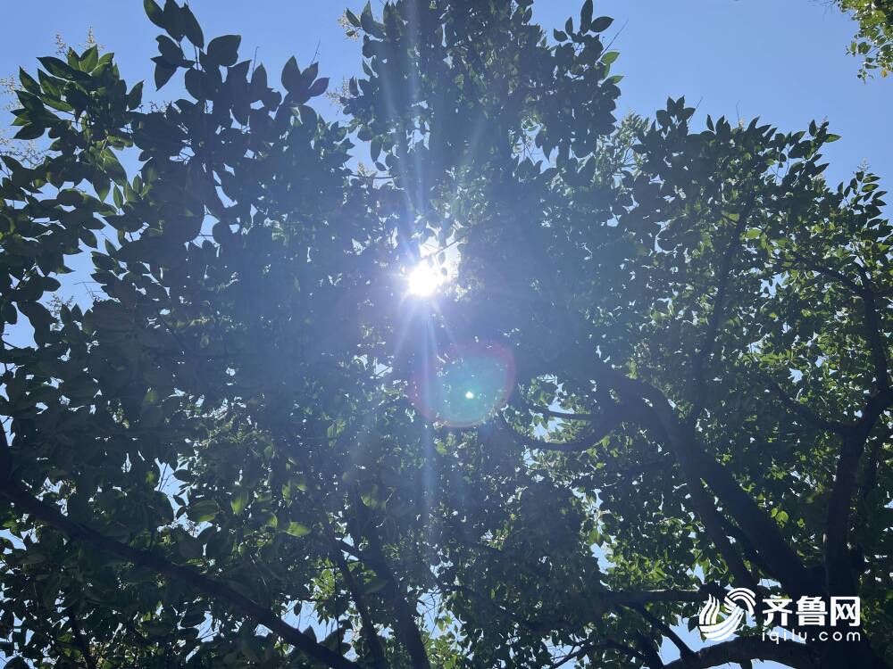 東明最高37.2℃！山東發(fā)布89個高溫預(yù)警信號 臨沂等8市高溫橙色預(yù)警