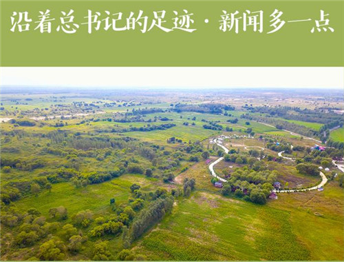沿著總書記的足跡·新聞多一點(diǎn)｜“三北”工程，綿亙?nèi)f里的綠色長城