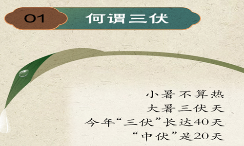 漫話三伏丨三伏天為啥這么熱？