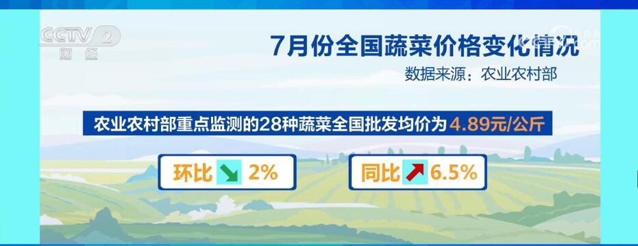 7月份全國蔬菜價格季節(jié)性下行 “菜籃子”供應有保障