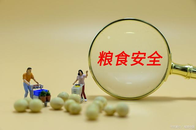 糧食安全防線如何筑牢？8個(gè)方面保障安全