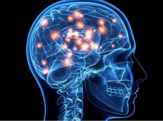 數(shù)千年間，腦容量下降了約10% 人類的大腦是怎么“丟”的？