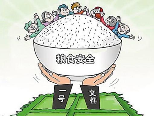 五部門發(fā)出倡議書 全方位夯實糧食安全根基