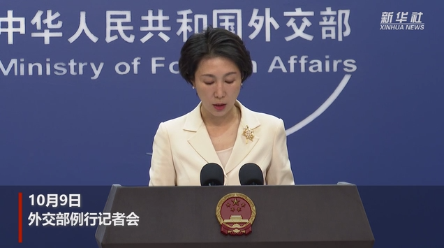 外交部發(fā)言人：對巴以沖突造成平民傷亡感到十分痛心
