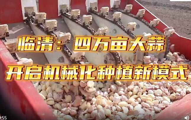 聊城臨清市康莊鎮(zhèn)：四萬畝大蒜開啟機(jī)械化種植新模式