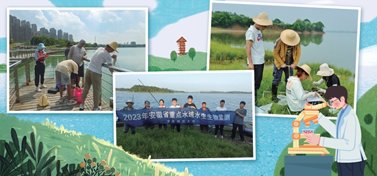 如候鳥(niǎo)群飛 這群大學(xué)生在守護(hù)長(zhǎng)江生態(tài)