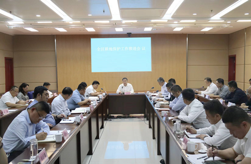 東昌府區(qū)自然資源重點(diǎn)工作專題推進(jìn)會議召開
