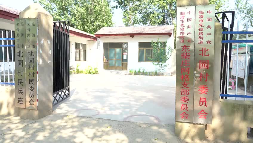 聊城臨清市東柴莊村黨支部書(shū)記張帥：撲下身子 振興鄉(xiāng)村