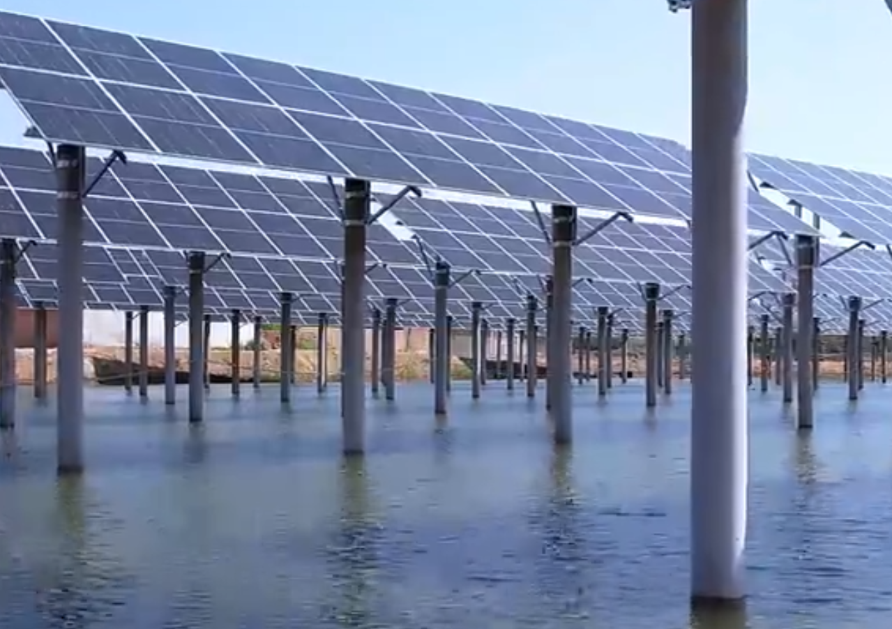 聊城市陽谷縣：“漁光互補”鋪就生態(tài)富民路