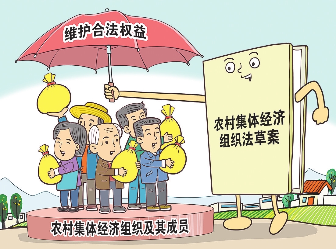 農(nóng)村集體經(jīng)濟(jì)組織法草案進(jìn)入二審 充分保障農(nóng)村集體經(jīng)濟(jì)組織成員權(quán)利