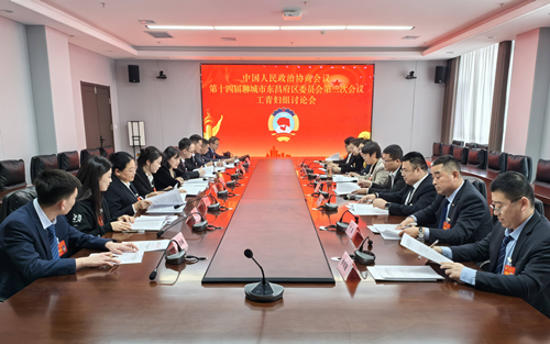 政協(xié)委員分組討論 凝心聚力共謀發(fā)展