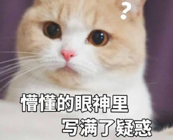 “資深HR”“過來人”輔導(dǎo)動(dòng)輒幾千元上萬元 付費(fèi)面試輔導(dǎo)服務(wù)真的靠譜嗎？