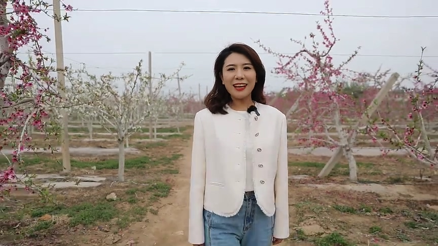 聊城市東昌府區(qū)：“花樣經(jīng)濟”為鄉(xiāng)村振興注入活力