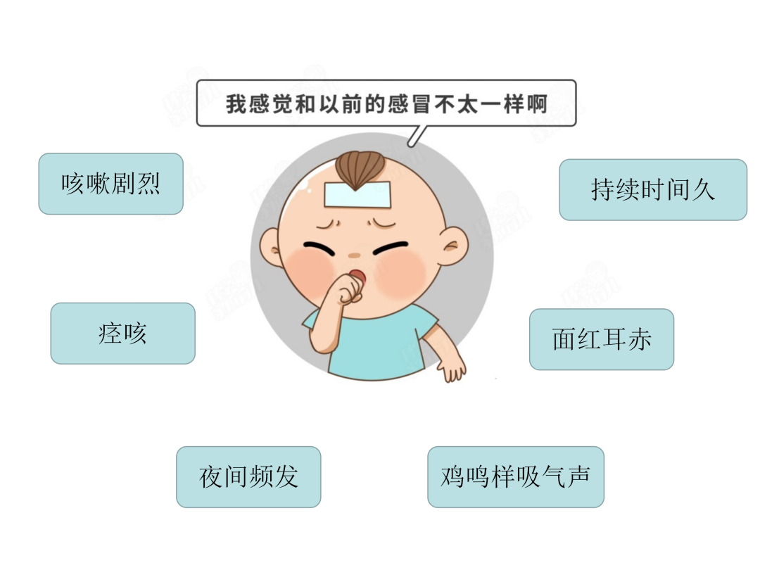 【微科普】“肺”常時(shí)期，“咳”不容緩