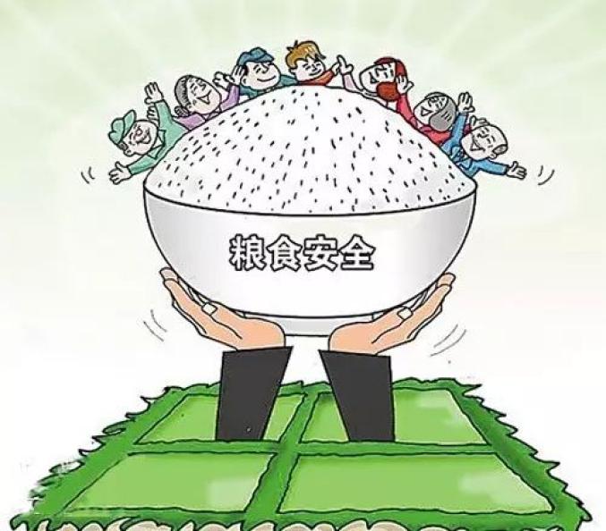 三大糧食作物完全成本保險(xiǎn)和種植收入保險(xiǎn)政策覆蓋全國