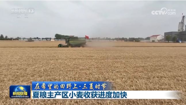 【在希望的田野上·三夏時(shí)節(jié)】夏糧主產(chǎn)區(qū)小麥?zhǔn)斋@進(jìn)度加快