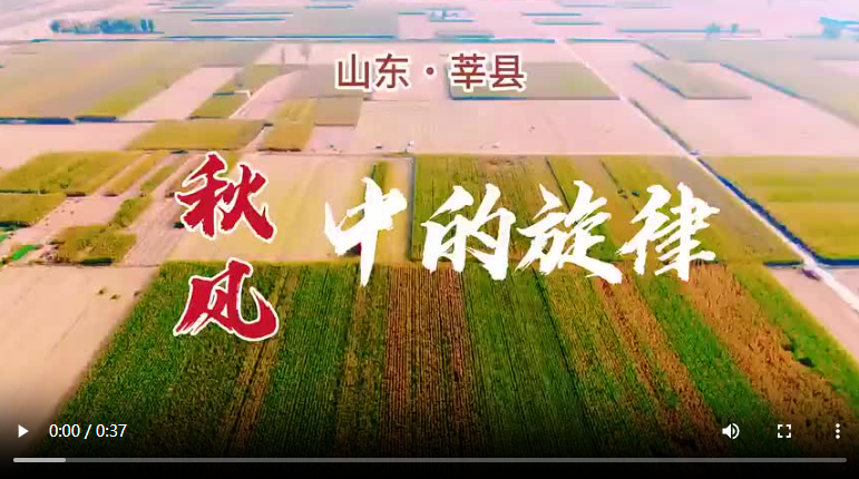 聊城市莘縣：金秋田野風景如畫