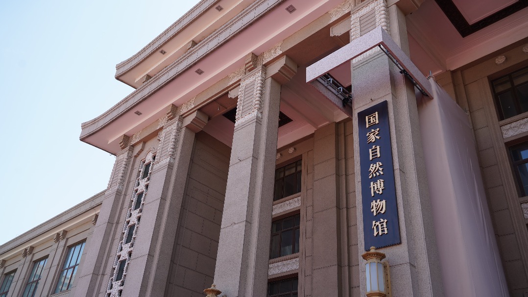 國(guó)家自然博物館新館計(jì)劃于2029年試運(yùn)營(yíng) 抹香鯨標(biāo)本將亮相