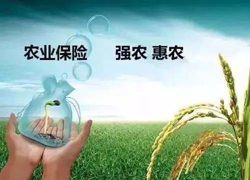 四部門發(fā)文推進農(nóng)業(yè)保險精準(zhǔn)投保理賠
