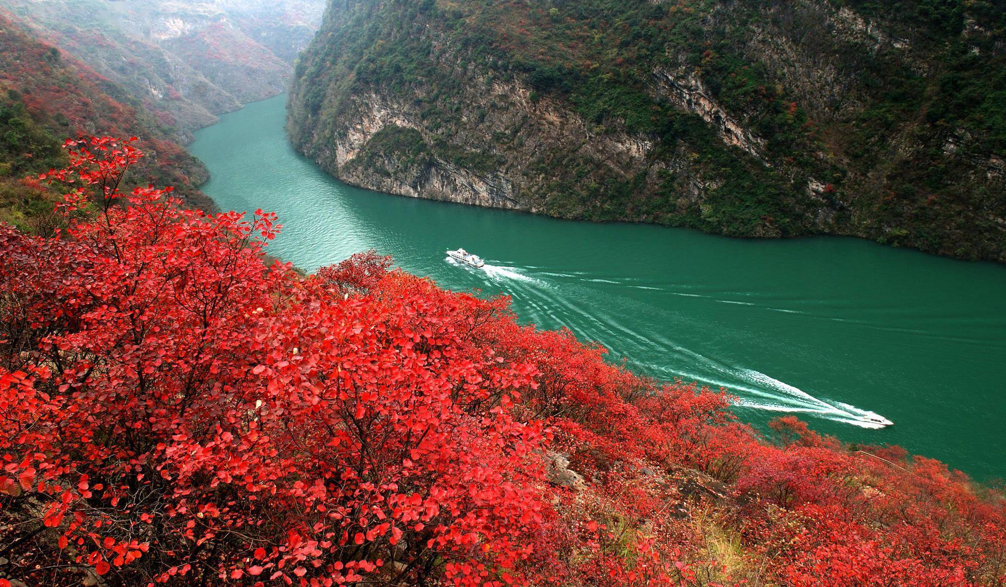 長(zhǎng)江三峽規(guī)模最大紅葉節(jié)將開(kāi)幕