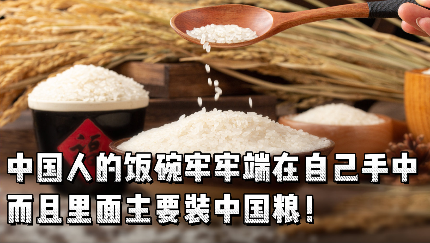 藏糧于技端牢“中國飯碗”
