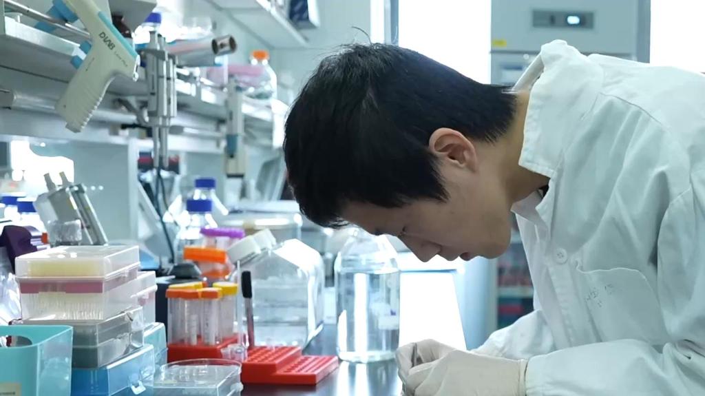 科學(xué)家成功解析大腦掌管學(xué)習(xí)記憶的“分子開關(guān)”