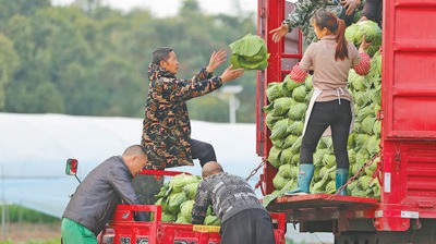 糧食產(chǎn)量首次突破1.4萬億斤，農(nóng)業(yè)科技進(jìn)步貢獻(xiàn)率超過63%繼續(xù)拓寬農(nóng)民增收致富渠道
