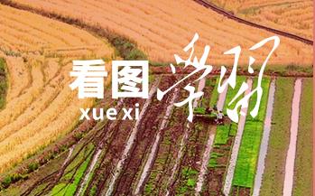 學(xué)習(xí)知行·中國(guó)式現(xiàn)代化丨“糧”安中國(guó)
