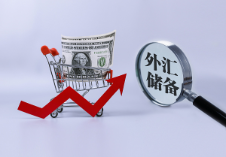 1月末我國(guó)外匯儲(chǔ)備規(guī)模32090億美元