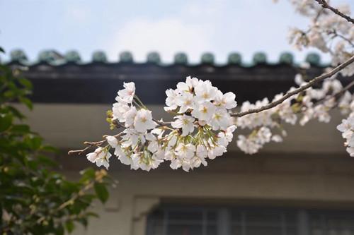 從中醫(yī)調(diào)理到“智能抗困” 中國年輕一代花式“解春困”