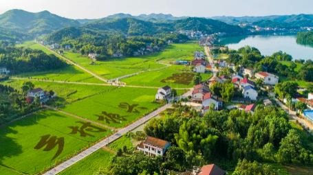 鄉(xiāng)村旅游熱持續(xù)升溫 一季度全國接待總人次超7億