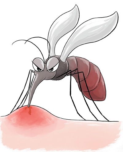 蜱蟲、隱翅蟲、蚊子……  夏季，常見蚊蟲如何應對
