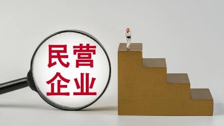 拔節(jié)生長(zhǎng)見(jiàn)未來(lái)——民營(yíng)企業(yè)加快技術(shù)突破和轉(zhuǎn)型升級(jí)